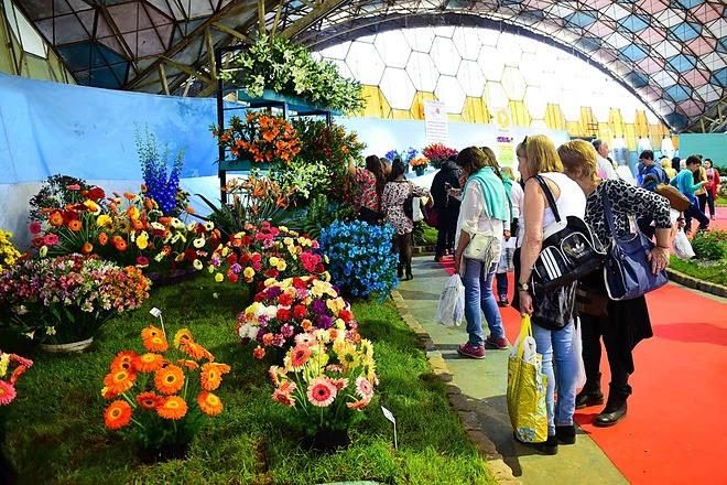 Estos son los artistas que animarán la 60° edición de la Fiesta Nacional de la Flor