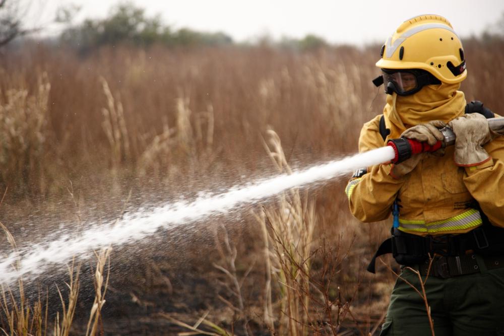 Deuda histórica, saldada: brigadistas forestales serán pasados a planta permanente