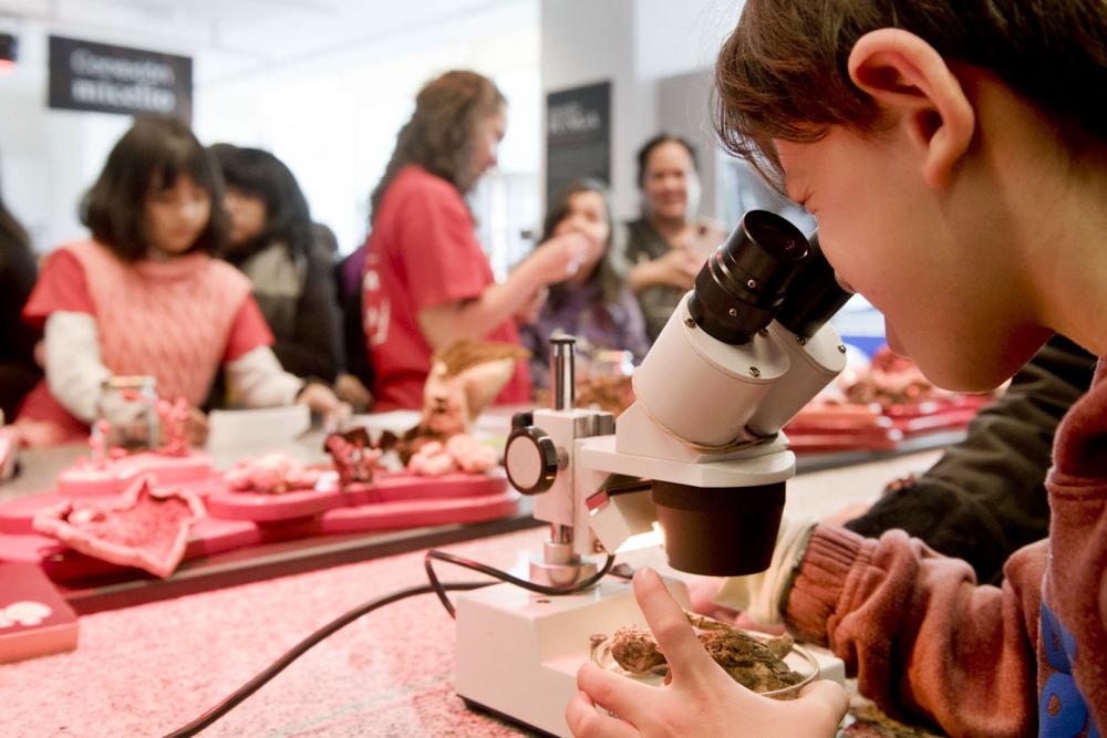 Un planazo para curiosos: este viernes llega “La Noche de la Ciencia Argentina”