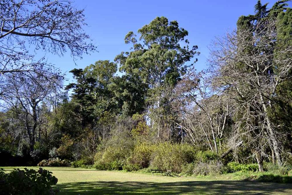 Verde para disfrutar: dos reservas bonaerenses en el corazón de la ciudad