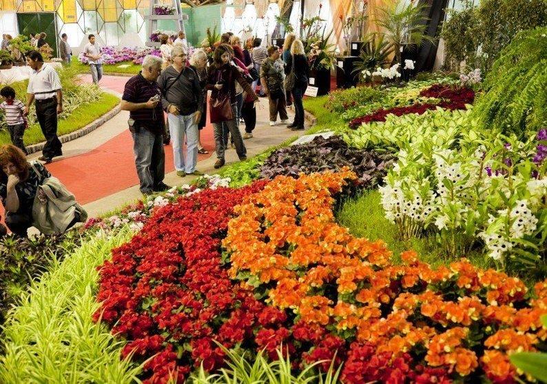 La flor tiene su fiesta en Florencio Varela: los detalles del colorido evento