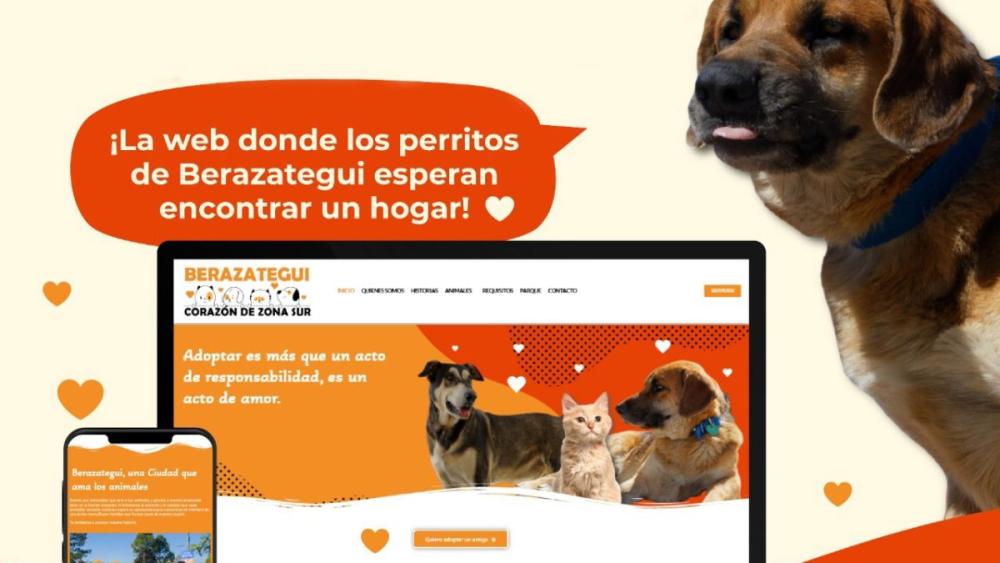 Corazón de Zona Sur: nace la primera página web municipal para adoptar mascotas