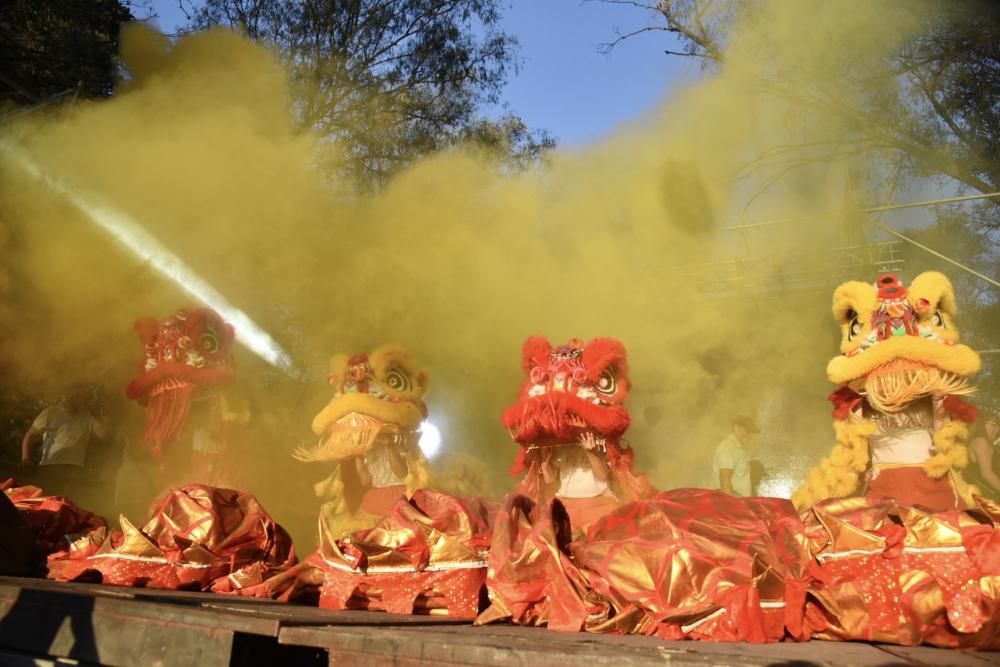 La Plata celebra el Año Nuevo Chino con más de 25 espectáculos para toda la familia