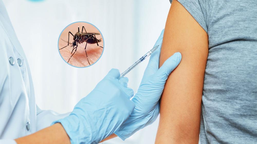 Concejal PRO se contagió de dengue y reclamó ley para que se distribuyan vacunas