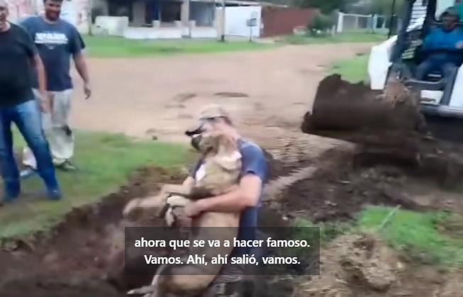 Estado presente: trabajadores municipales le salvaron la vida a un curioso perrito