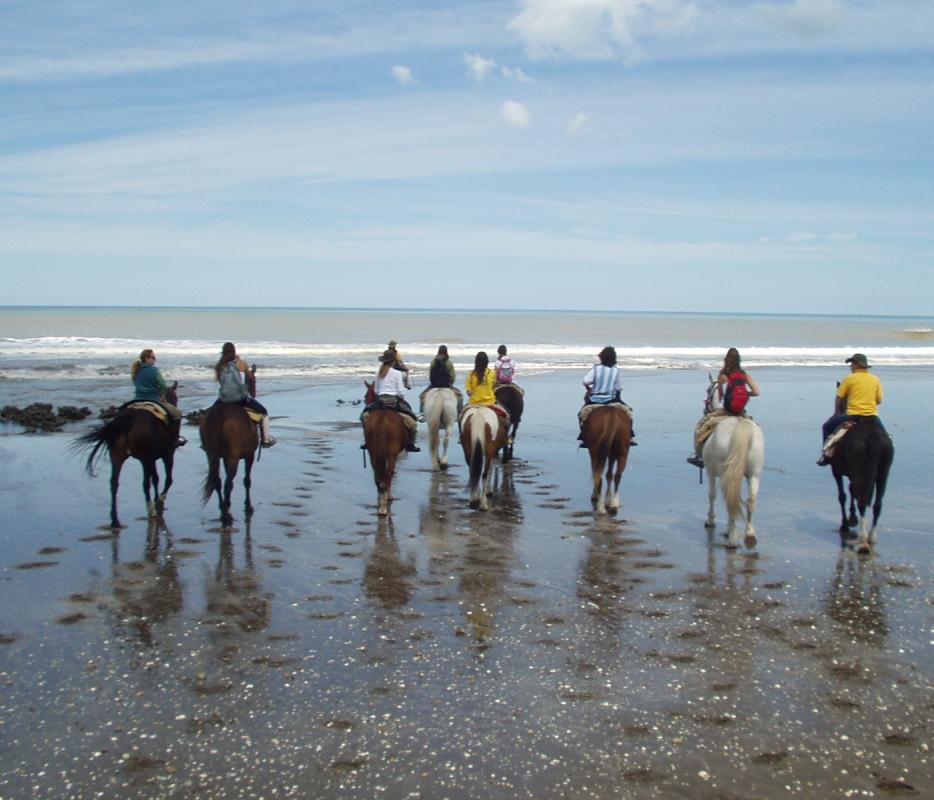 Fin de semana y turismo: un atardecer de cabalgatas en las playas de la Provincia