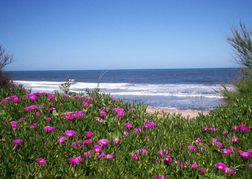 Belleza y placer: refugios de paz y naturaleza en la inmesidad de la costa bonaerense