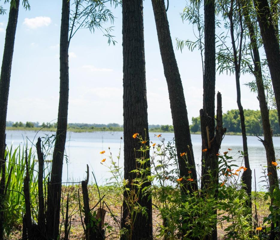 Turismo: majestuosidad campestre en una bella estancia del Conurbano