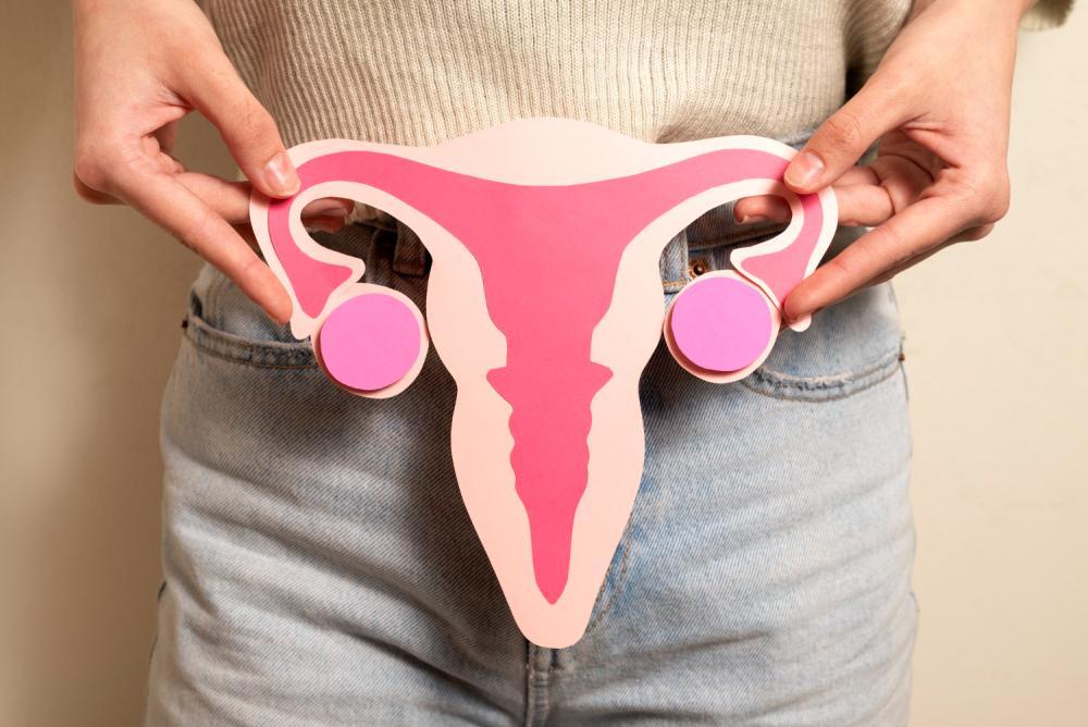 “Si duele, no es normal”: cómo es la ley de Endometriosis presentada en el Senado