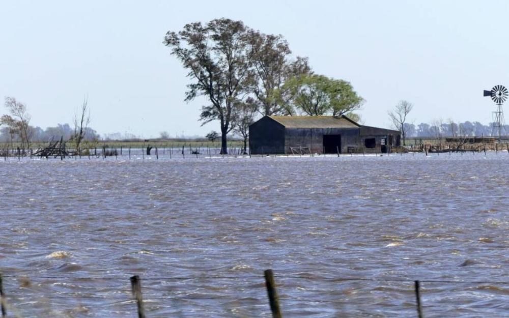 Alivio para productores rurales de dos distritos bonaerenses: los motivos