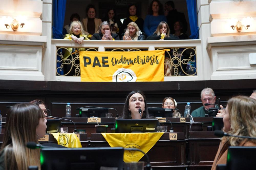 De qué se trata la ley de Endometriosis aprobada en la Legislatura bonaerense