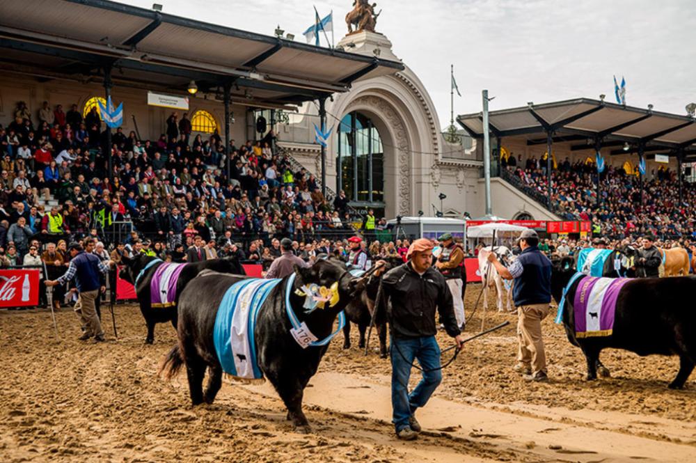 El campo muestra lo suyo en el centro porteño: arranca la tradicional Expo Rural