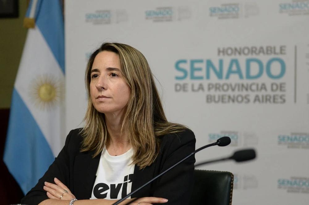 Senadora llama a reformar el sistema penal: “La baja de imputabilidad es inevitable”