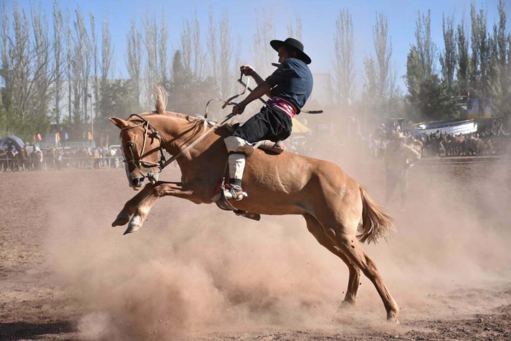 Mirá cómo sigue la gran Fiesta de las Escuelas Rurales: cronograma completo