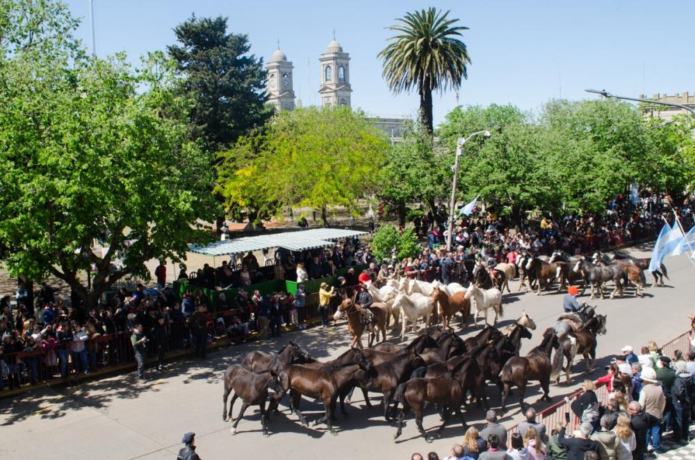 A relinchar de alegría: comienza en Bragado la Fiesta Nacional del Caballo