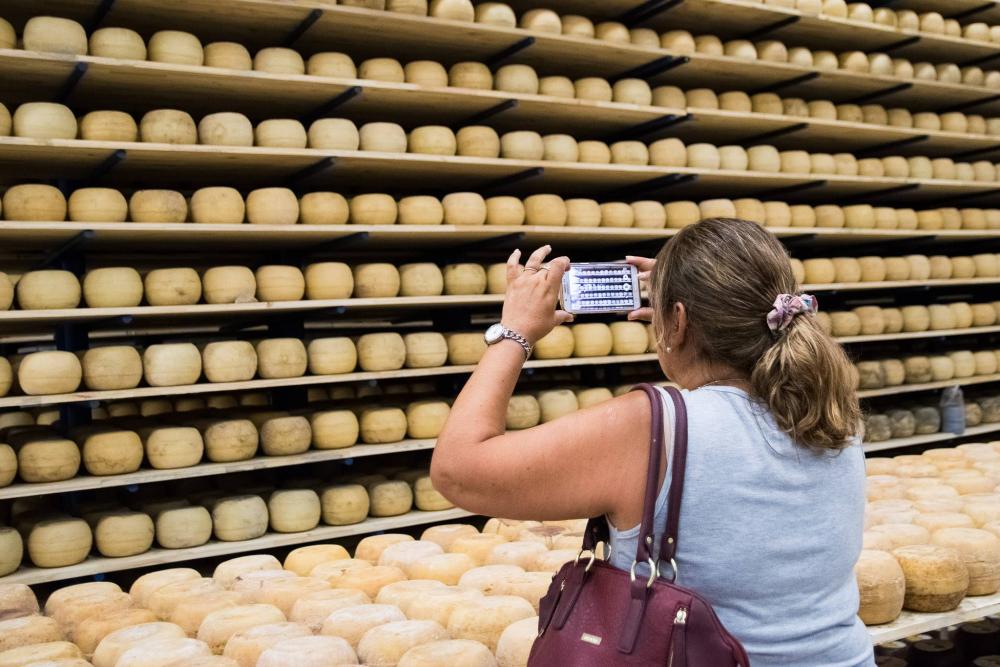 Ya se vive y se goza en los pagos de Los Toldos el sabroso Festival del Queso