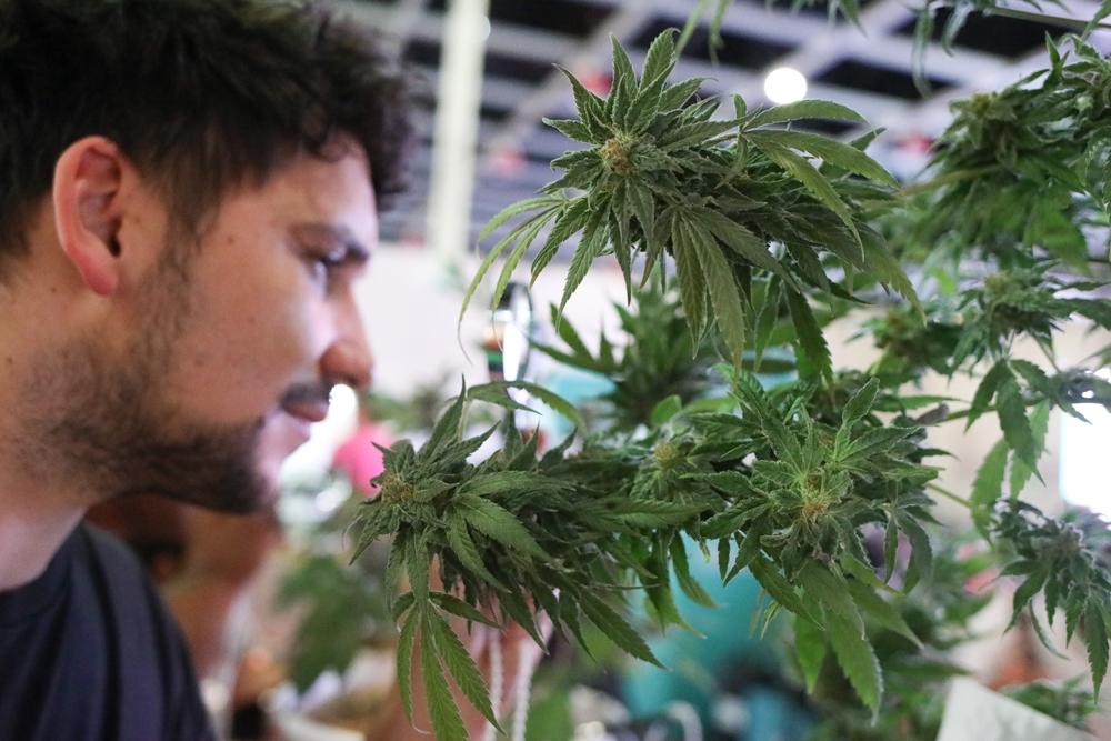 Vuelve el evento de cannabis más grande de Latinoamérica: toda la información