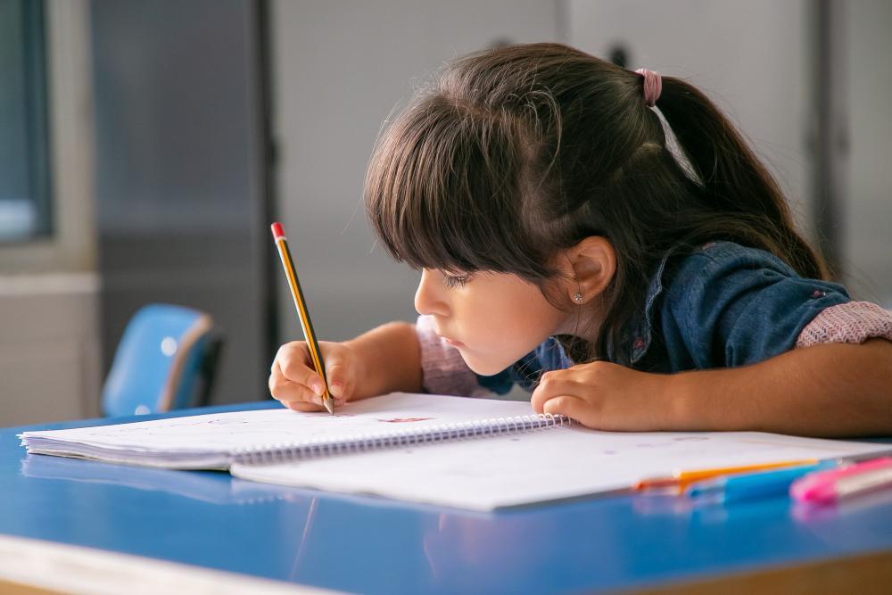 Educación: qué tienen en común los alumnos de Vicente López, Roque Pérez y Tandil