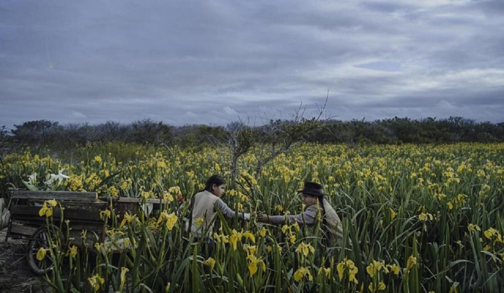 Llega a Magdalena la tercera edición del Festival de Cine del Río: el programa