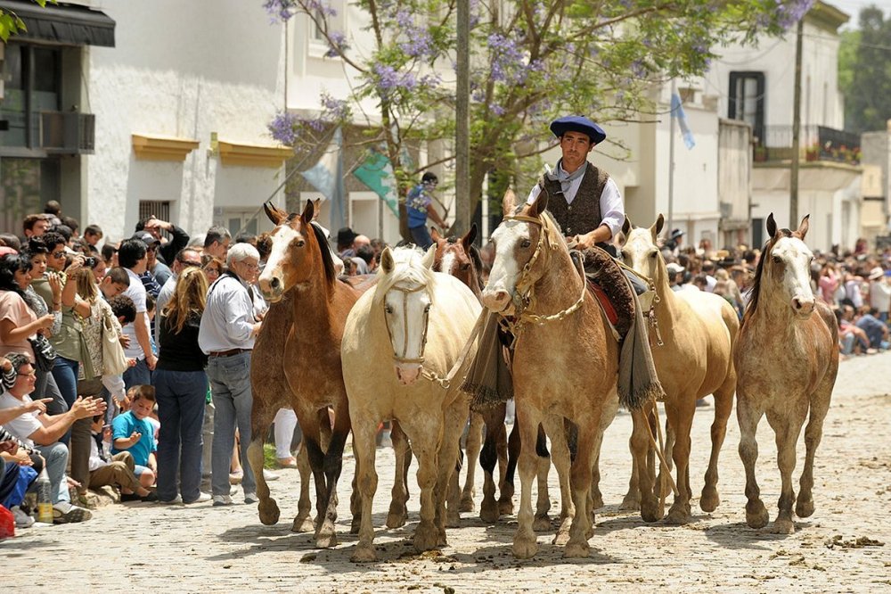 Finde a pura Fiesta de la Tradición en San Antonio de Areco: el cronograma completo