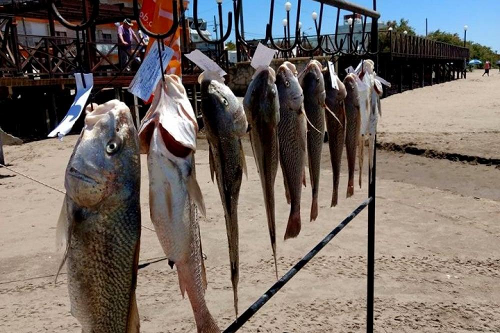 Mar de Ajó, a pleno: se larga la 55 edición de la Fiesta Nacional de la Corvina Rubia