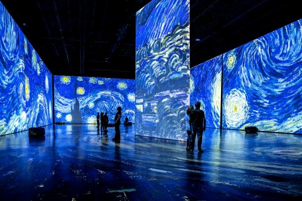 Imperdible: llega al Predio Floral de Escobar la experiencia inmersiva Van Gogh