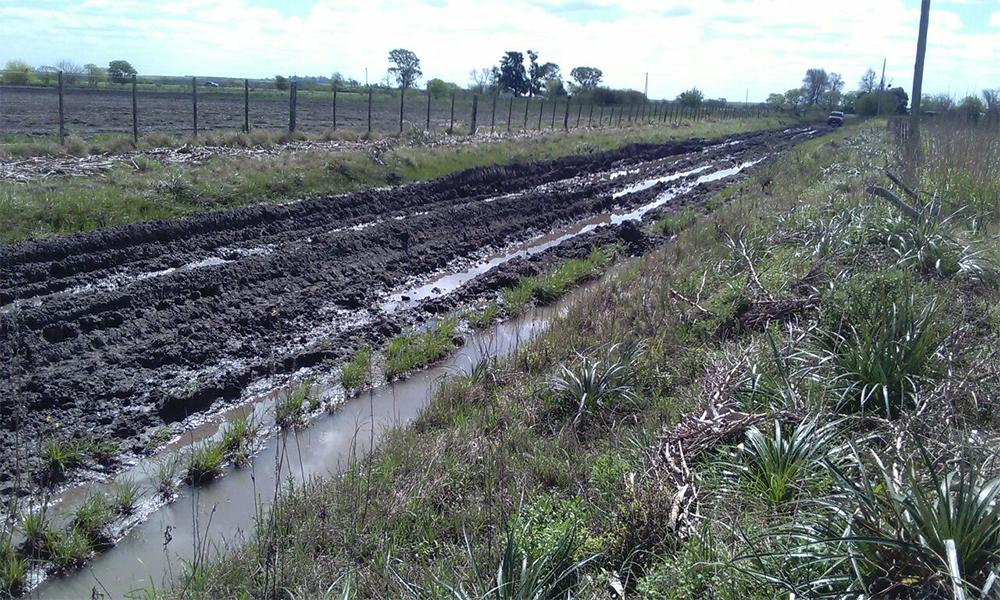 Municipio y el campo buscan crear un consorcio para mantener los caminos rurales