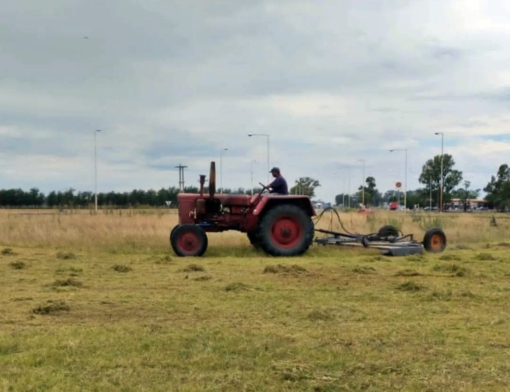 Ante la ausencia de Nación, intendente se hizo cargo de cortar el pasto de la ruta