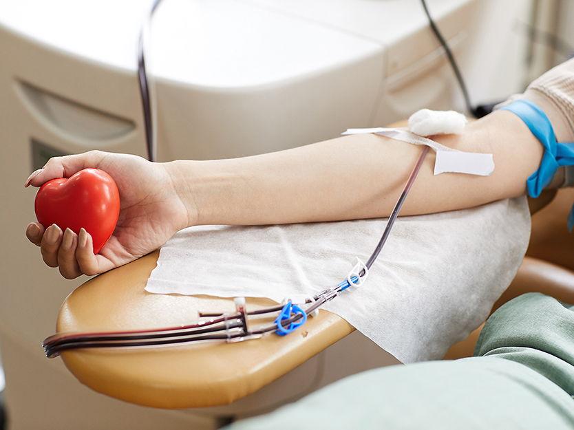 La Provincia convoca a donar sangre en este verano: cuáles son los pasos a seguir