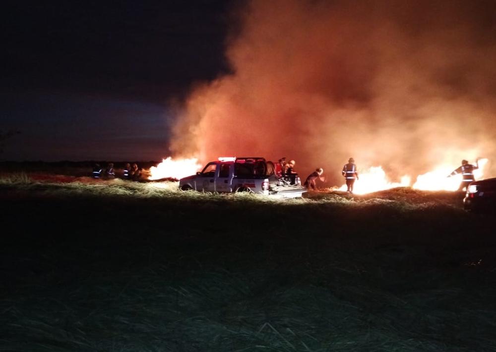 La provincia de Buenos Aires controló el incendio en la Reserva de Punta Lara