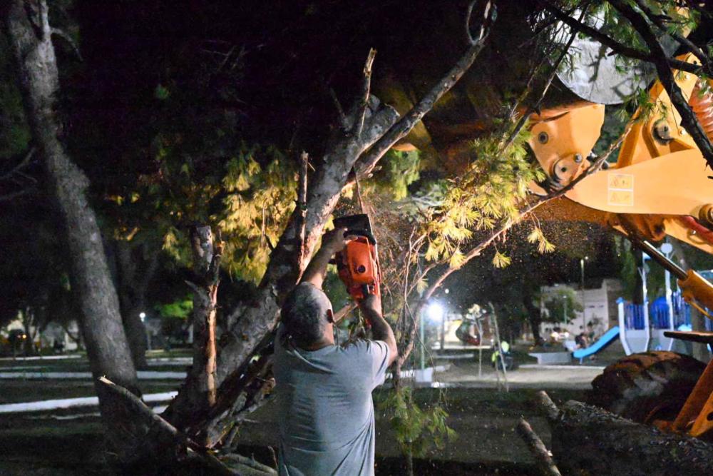 Importantes daños en un temporal de viento y granizo en Bahía Blanca