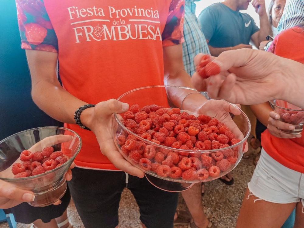 Se viene la 22 edición de la Fiesta Provincial de la Frambuesa: agenda completa