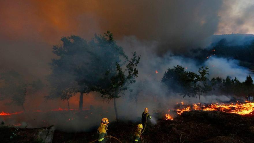 Incendios en la Patagonia: la Provincia envía brigadistas y refuerza recursos